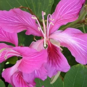 Meet your Posher, Guy